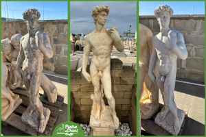 Statua David h. 120